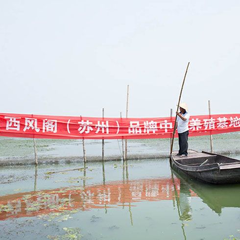 蟹太太生鮮新零售-養殖基地